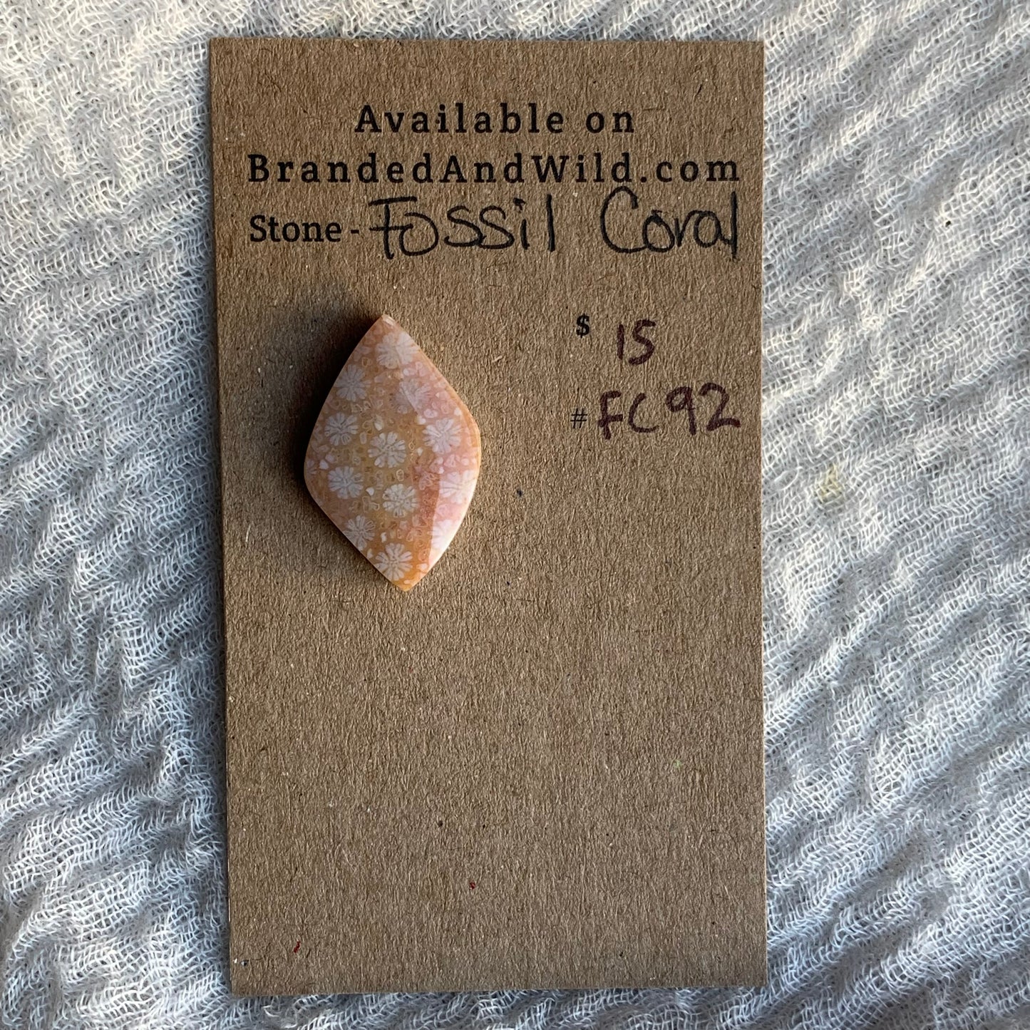 Fossil Coral Cabochon - FC92