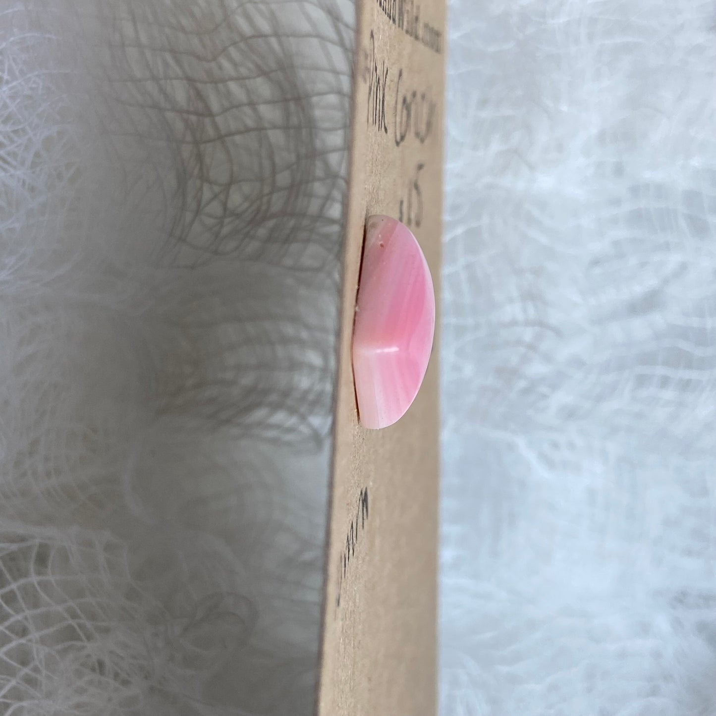 Pink Conch Cabochon - PC50