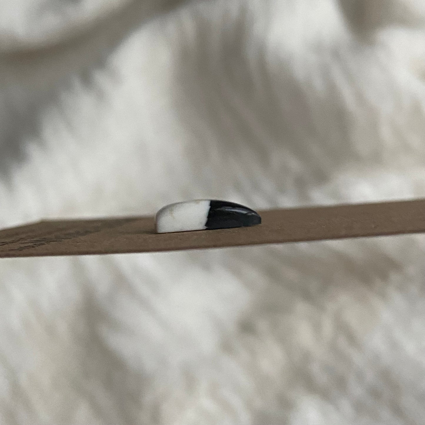 White Buffalo Cabochon - WB72