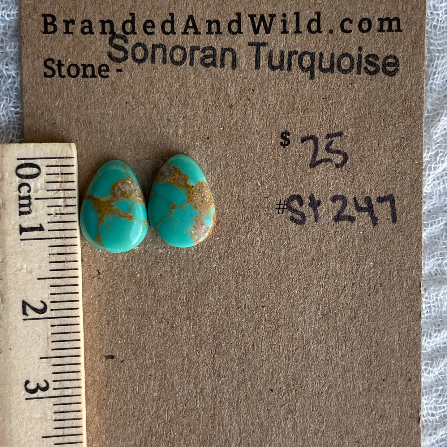 Sonoran Turquoise Cabochon - ST247