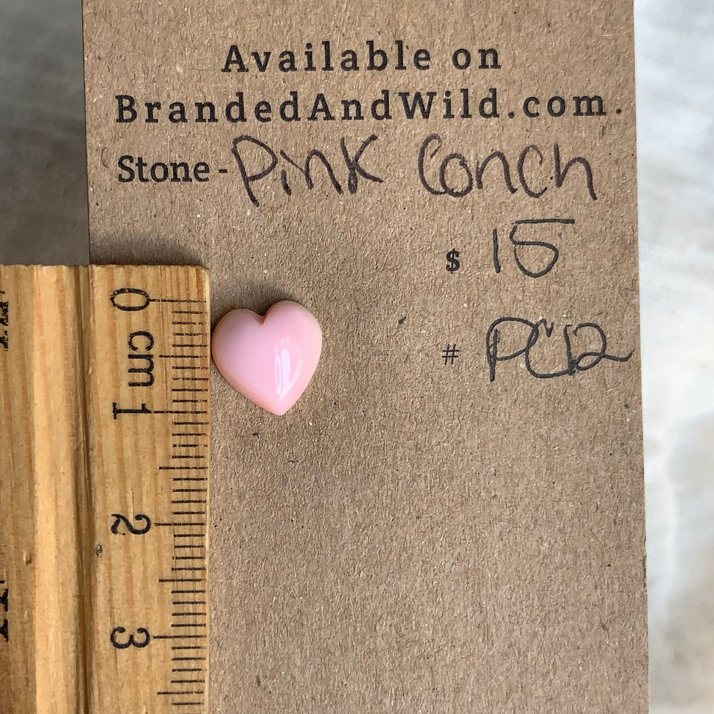 Pink Conch Cabochon - PC12