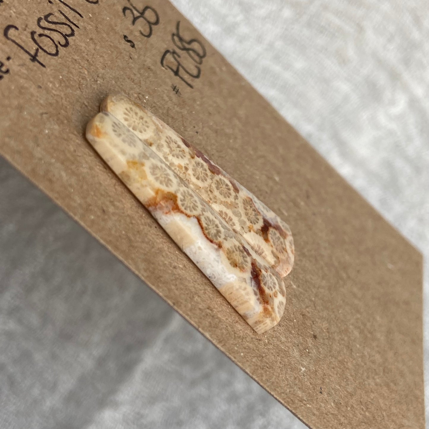 Fossil Coral Cabochon - FC85