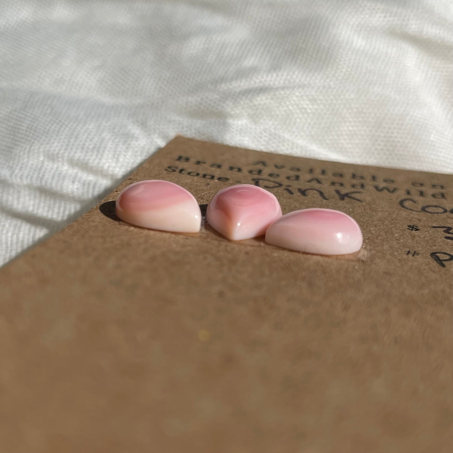 Pink Conch Cabochon - PC89 8C403B38-9D1F-43AE-A901-27B6D3F659A4 Brandedandwild.com