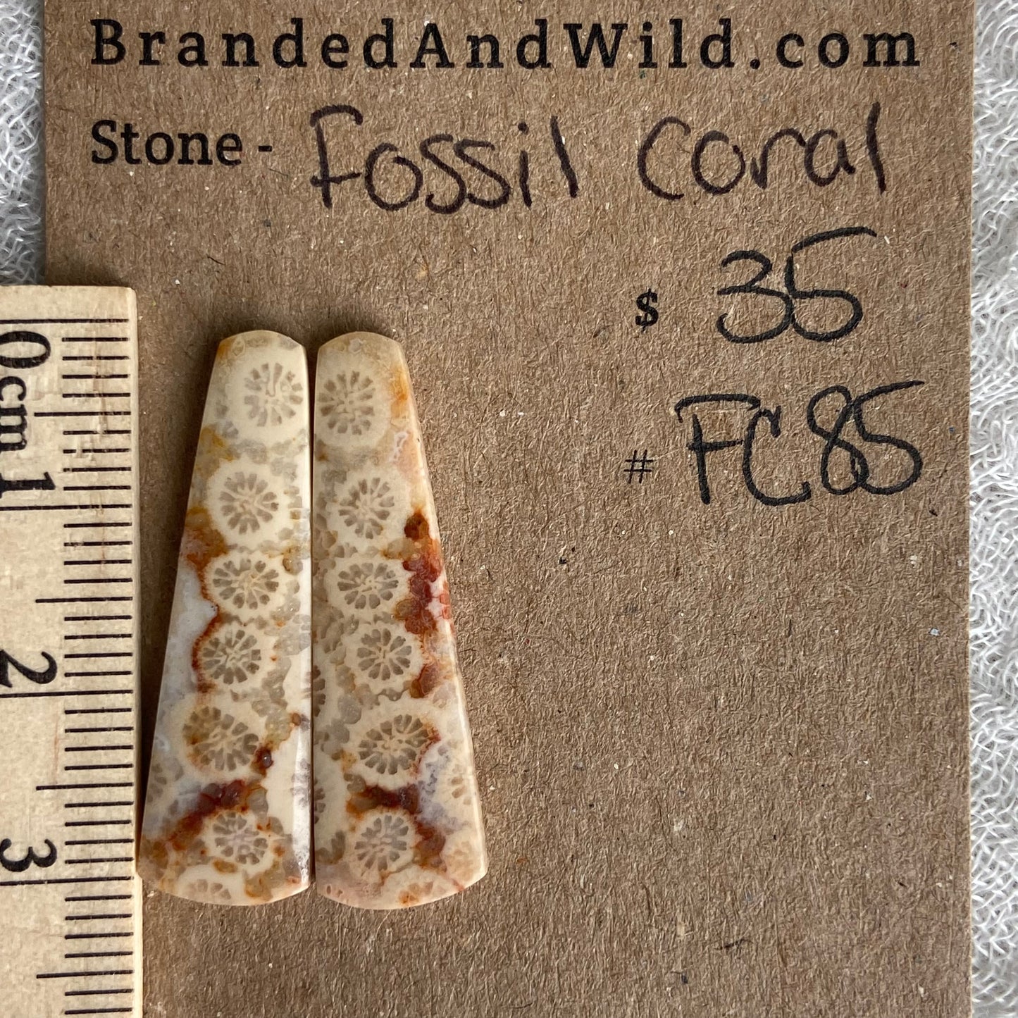 Fossil Coral Cabochon - FC85