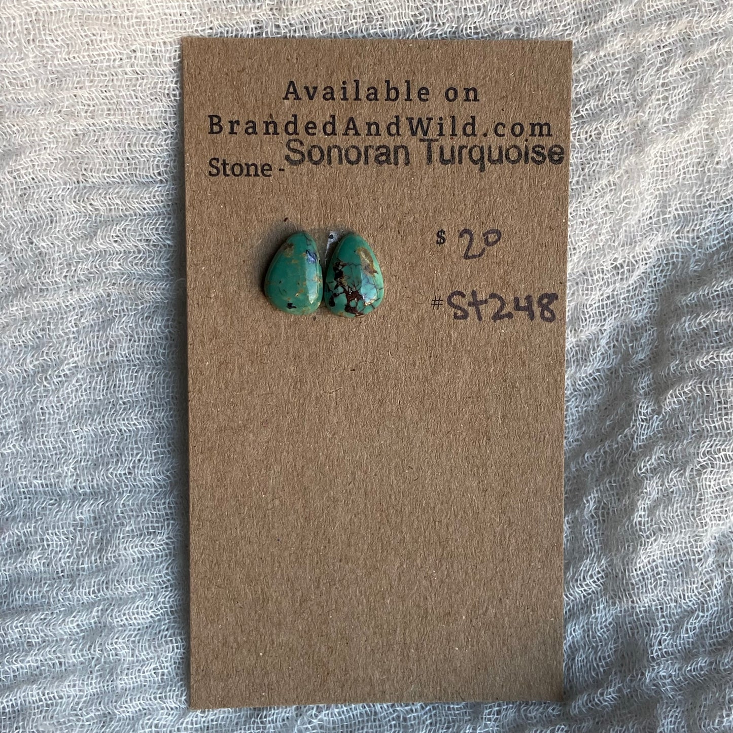 Sonoran Turquoise Cabochon - ST248