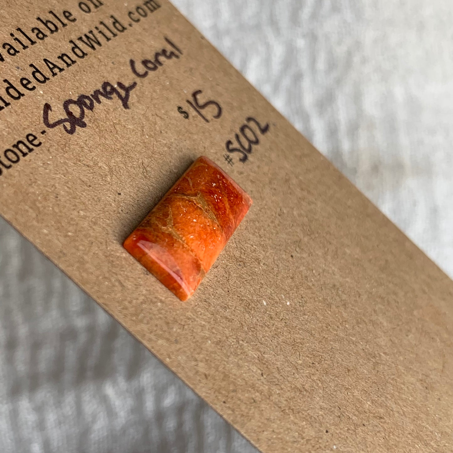 Sponge Coral Cabochon - SC02