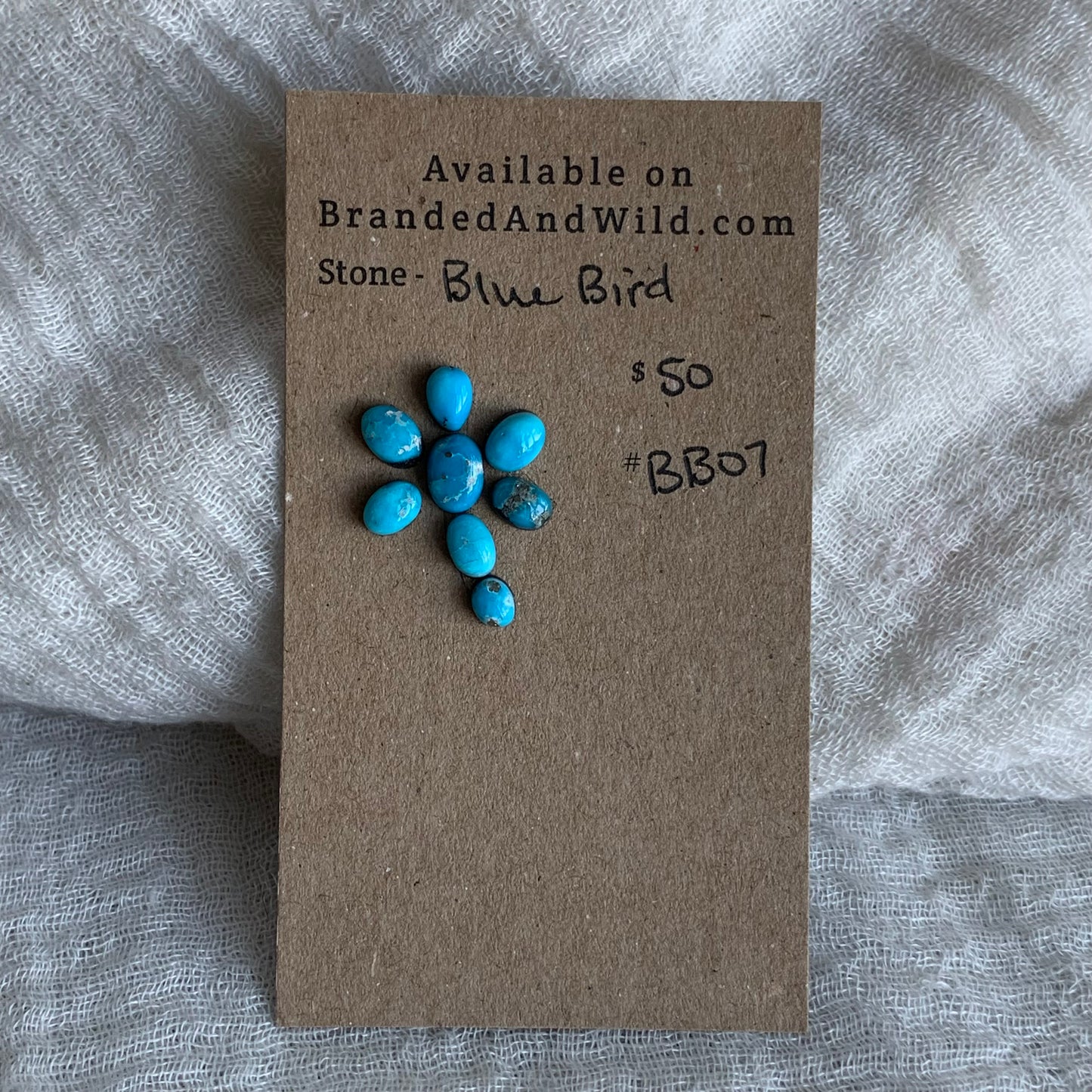 Blue Bird Turquoise Cabochon - BBT07
