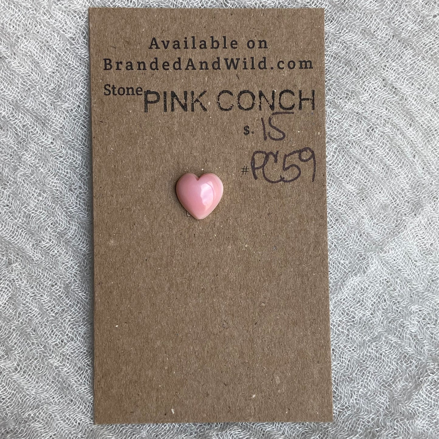 Pink Conch Cabochon - PC59