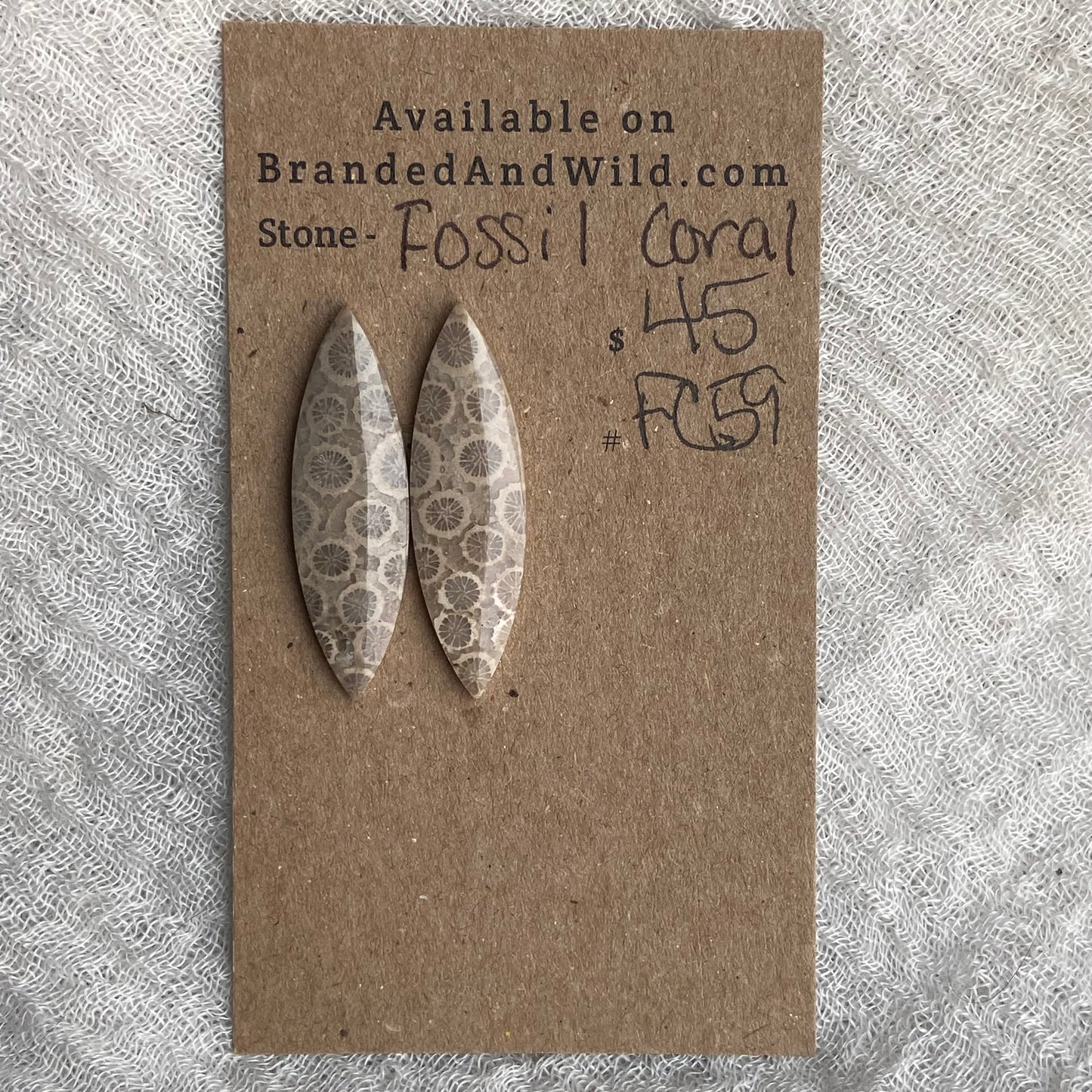 Fossil Coral Cabochon - FC59