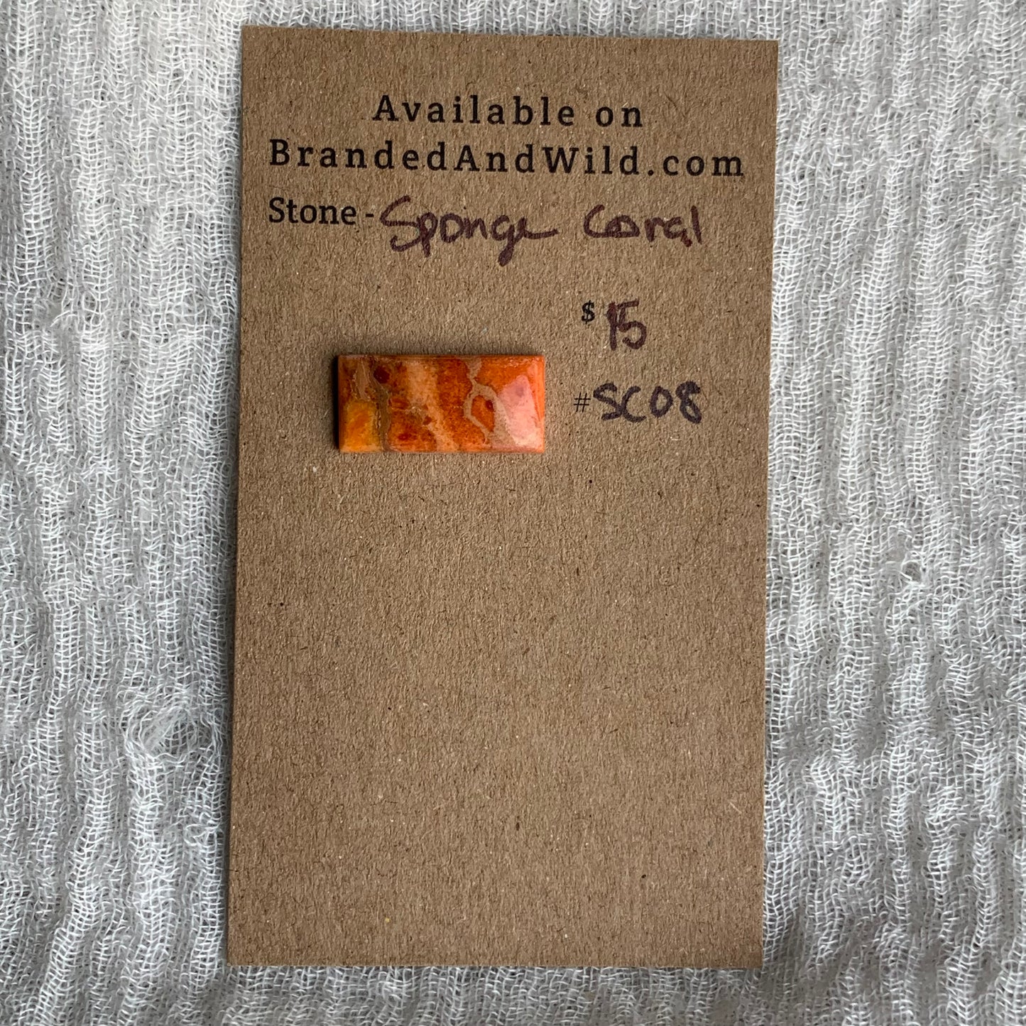 Sponge Coral Cabochon - SC08