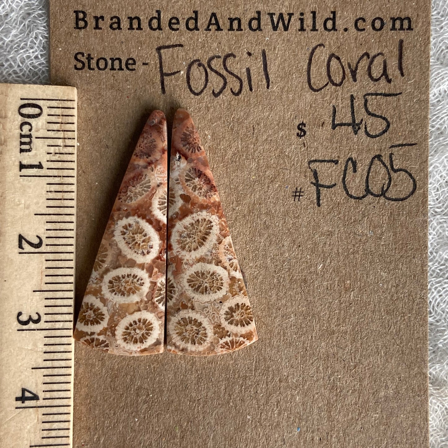 Fossil Coral Cabochon - FC05