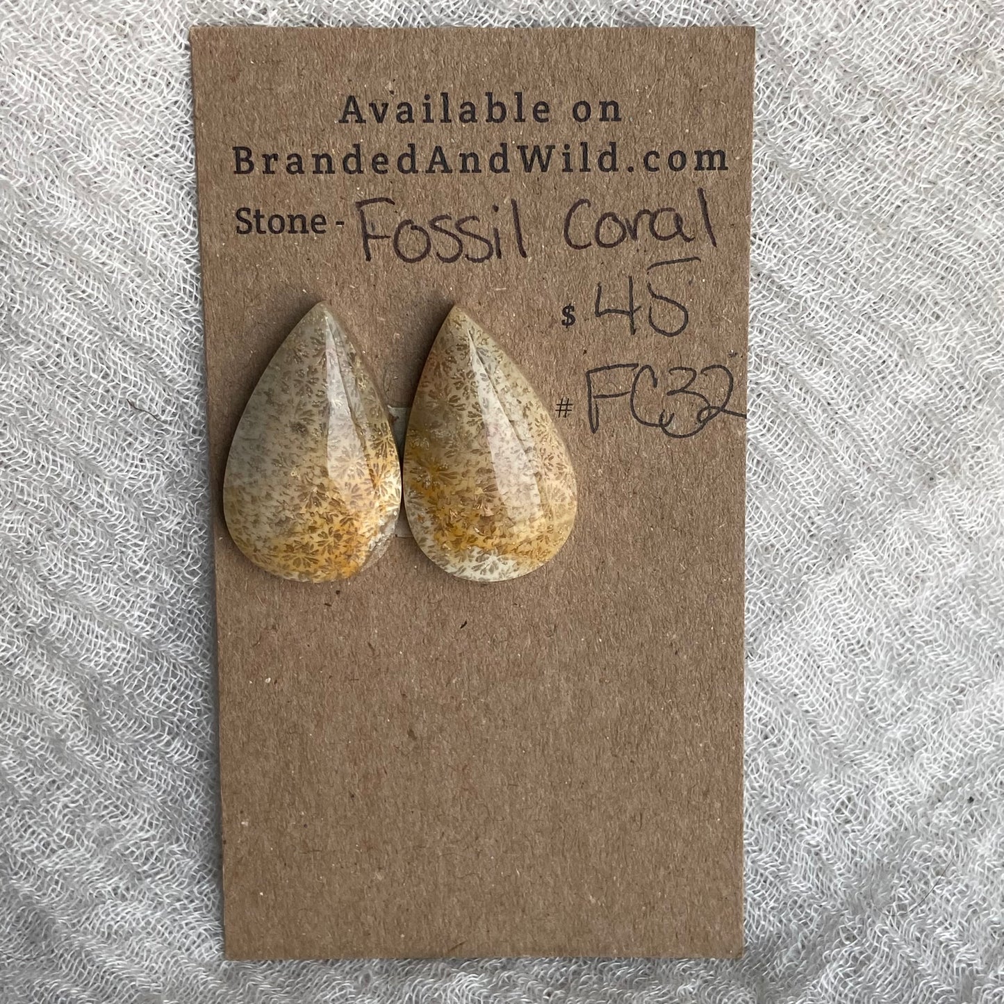 Fossil Coral Cabochon - FC32