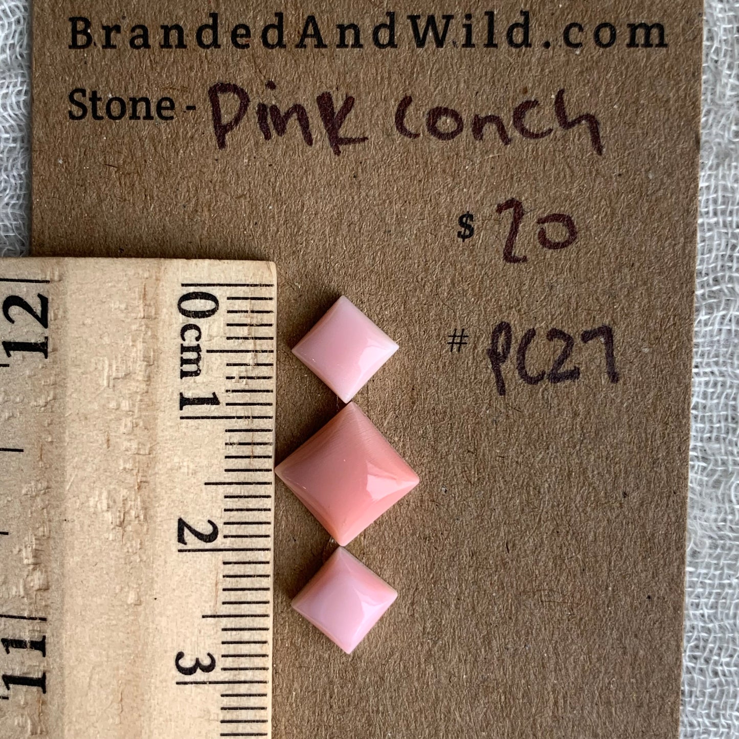 Pink Conch Cabochon - PC27