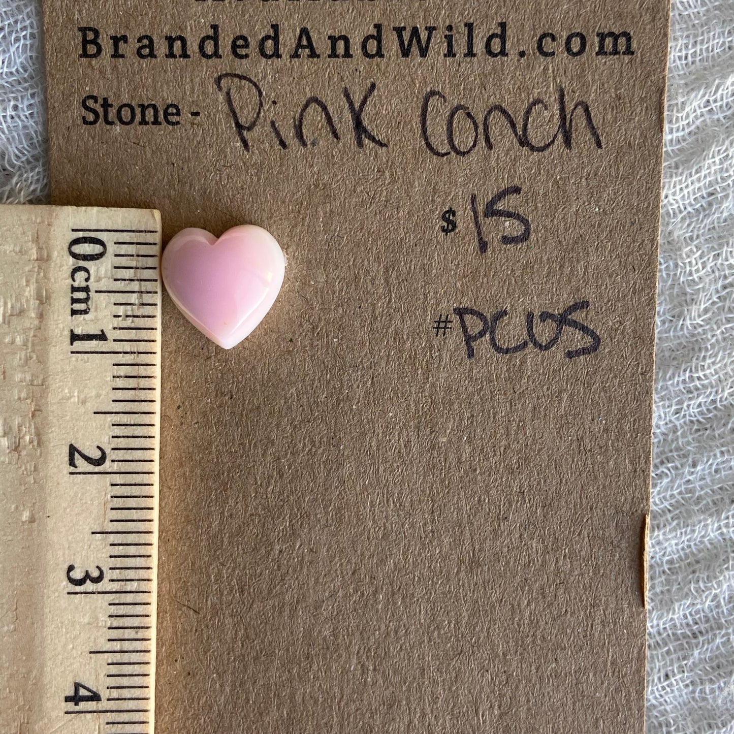 Pink Conch Cabochon - PC05