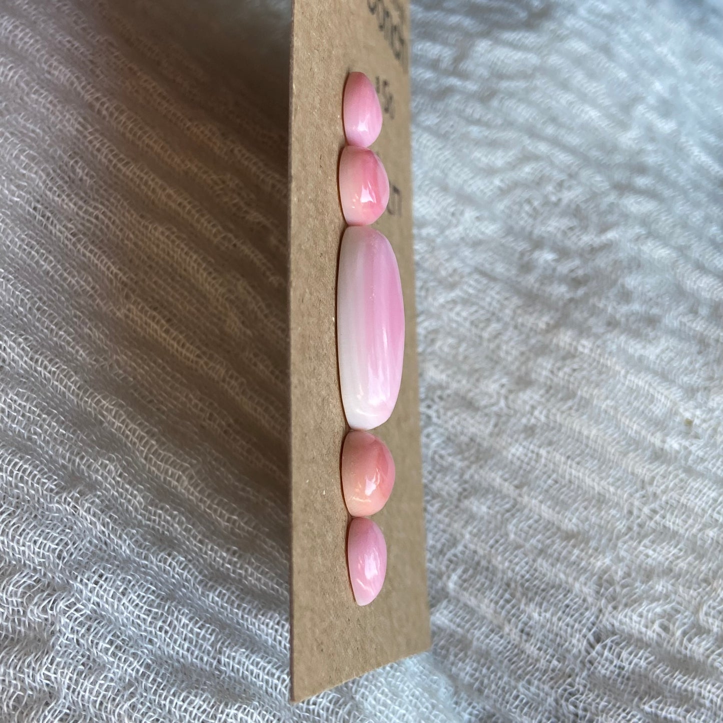 Pink Conch Cabochon - PC17