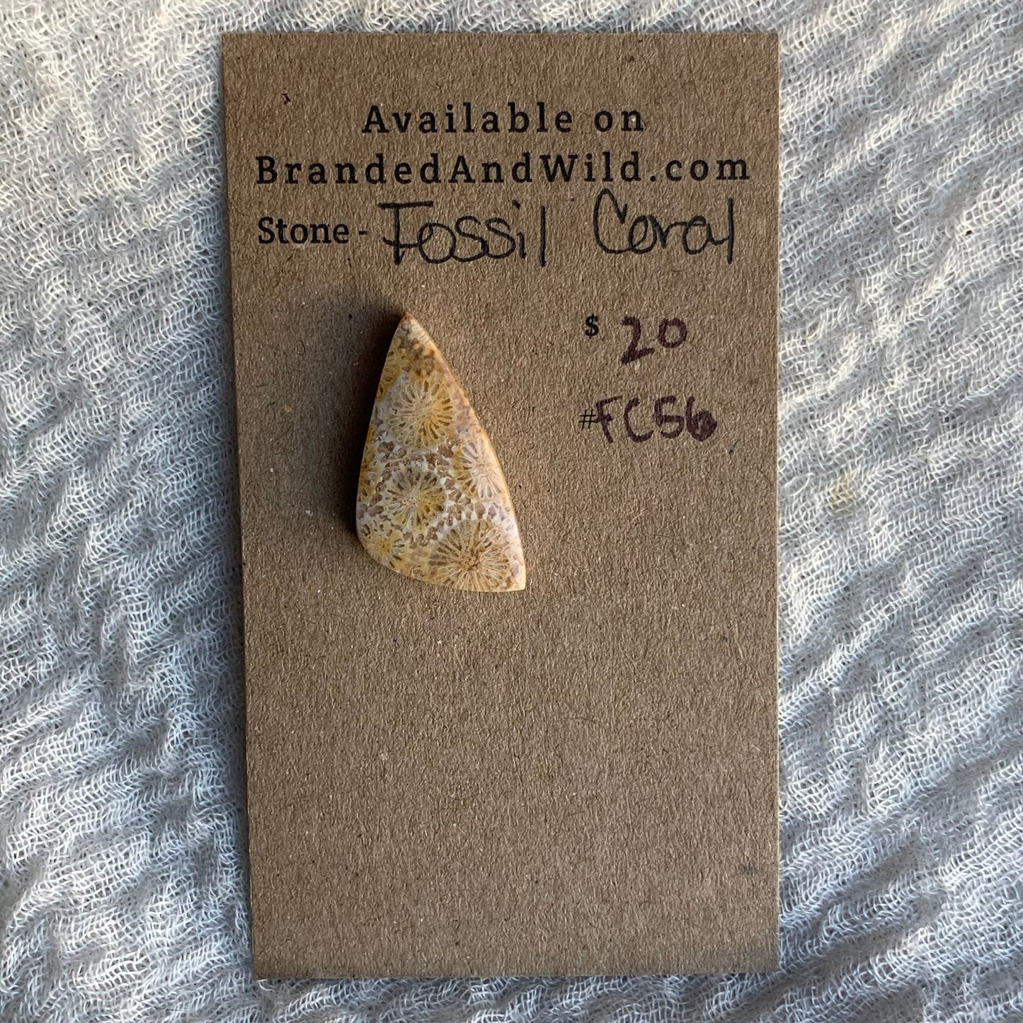Fossil Coral Cabochon - FC56