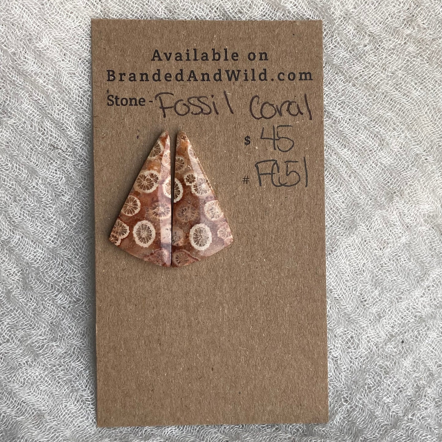 Fossil Coral Cabochon - FC51