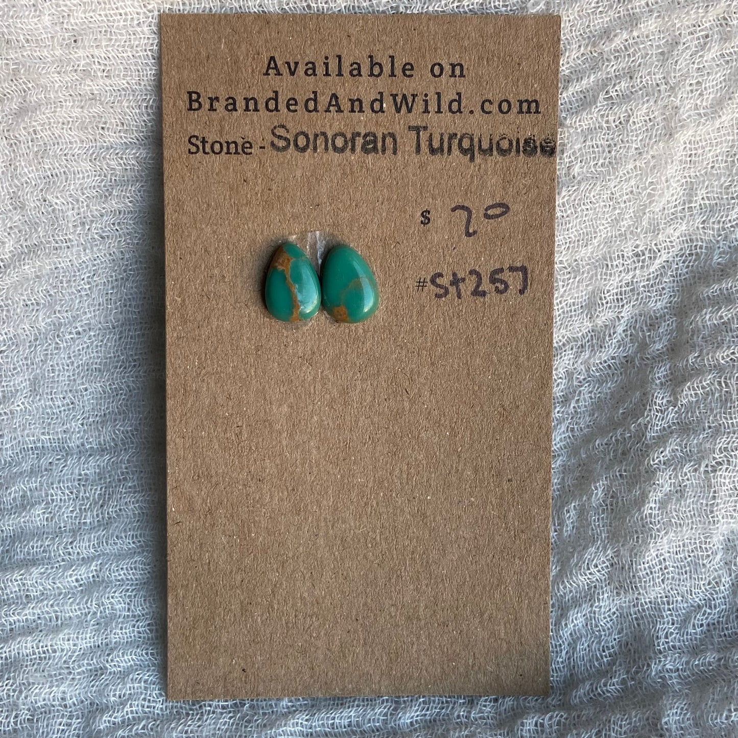 Sonoran Turquoise Cabochon - ST257