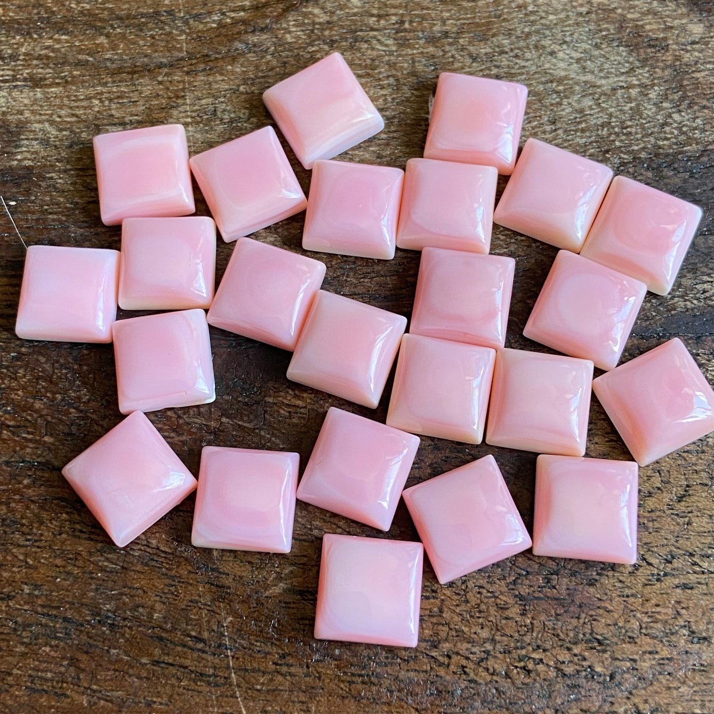 Pink Conch 8mm