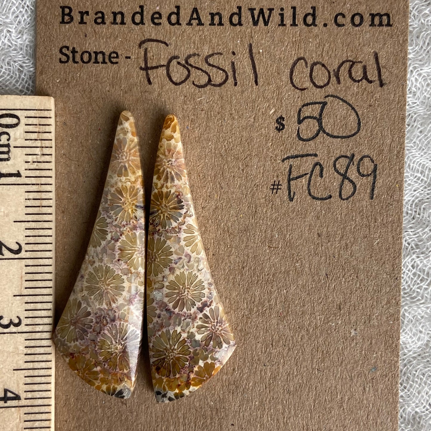 Fossil Coral Cabochon - FC89