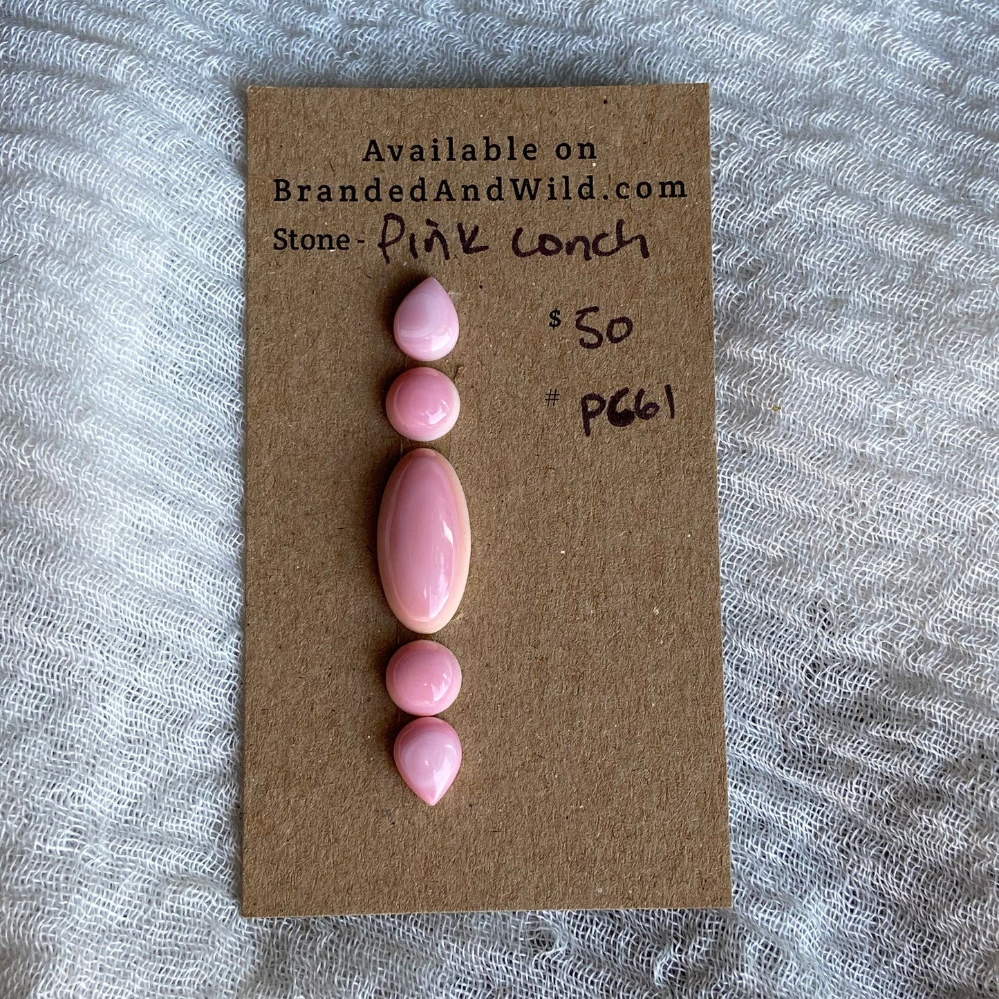 Pink Conch Cabochon - PC61