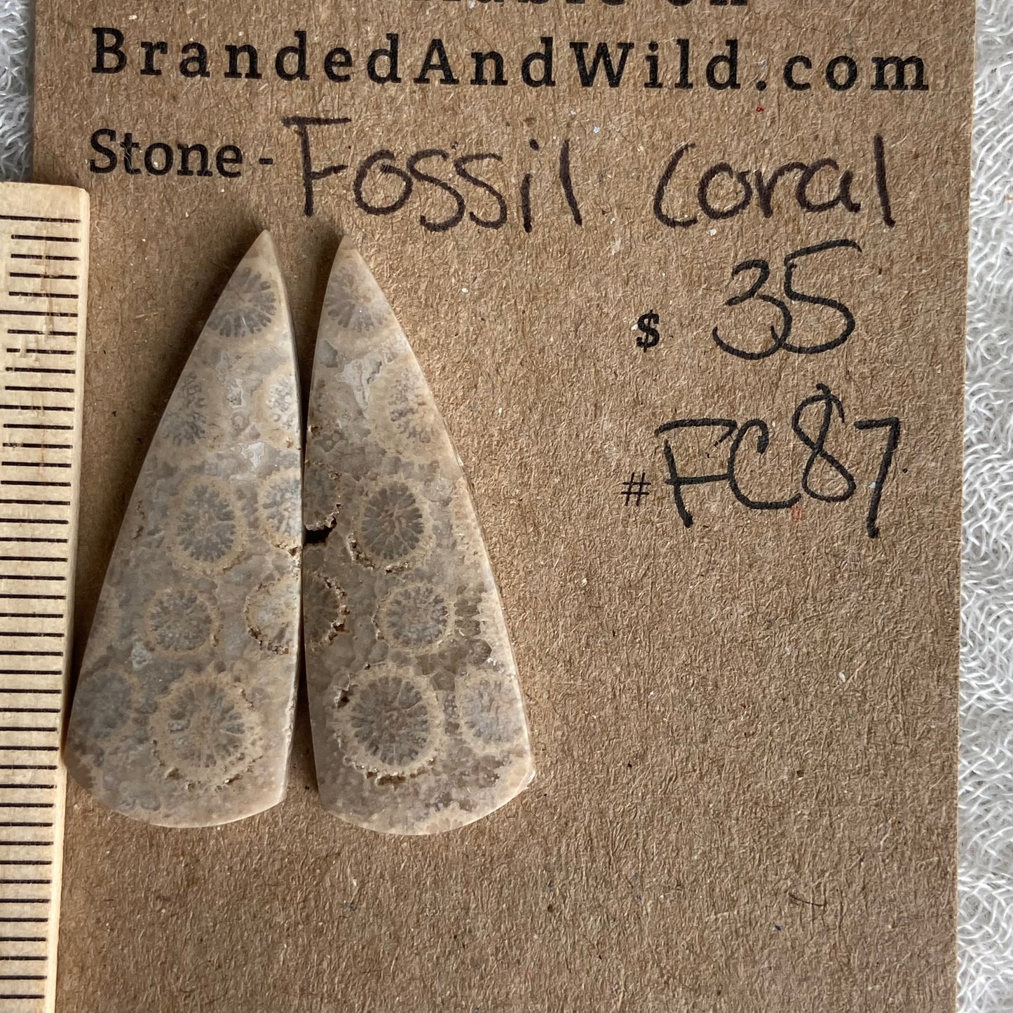 Fossil Coral Cabochon - FC87