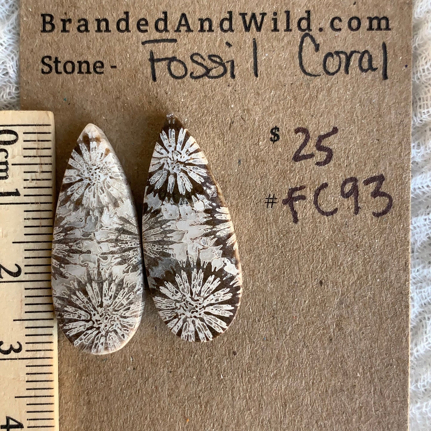 Fossil Coral Cabochon - FC93