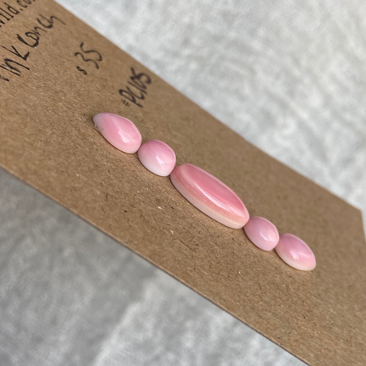 Pink Conch Cabochon - PC105
