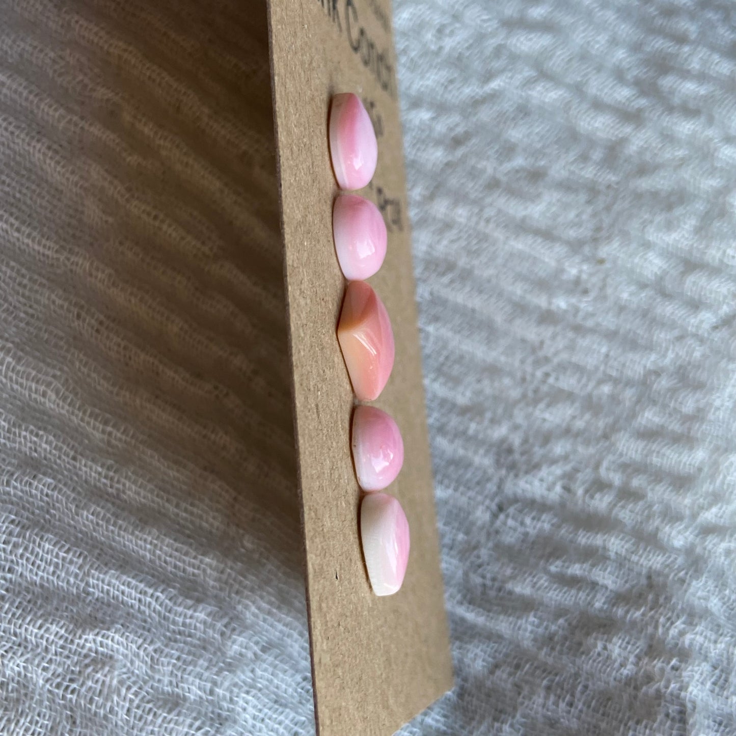 Pink Conch Cabochon - PC28