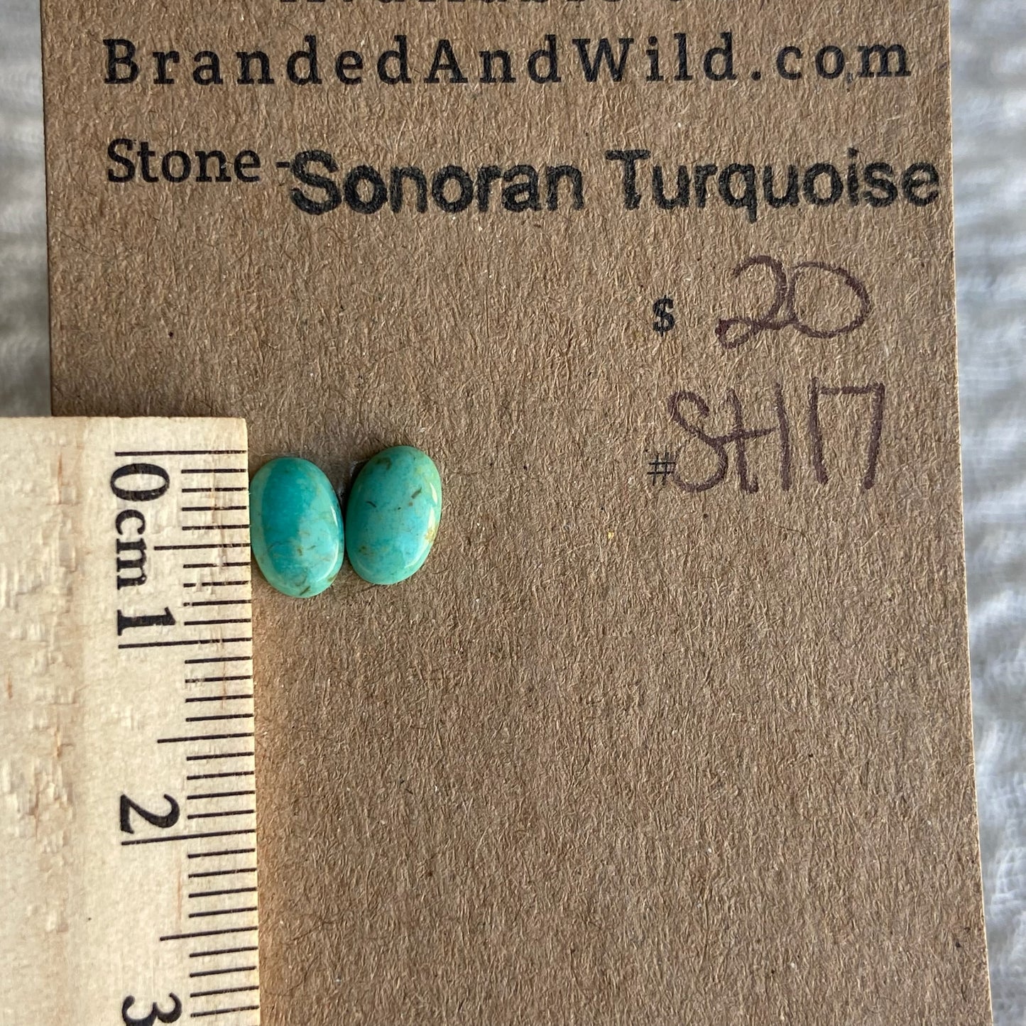Sonoran Turquoise Cabochon - ST117