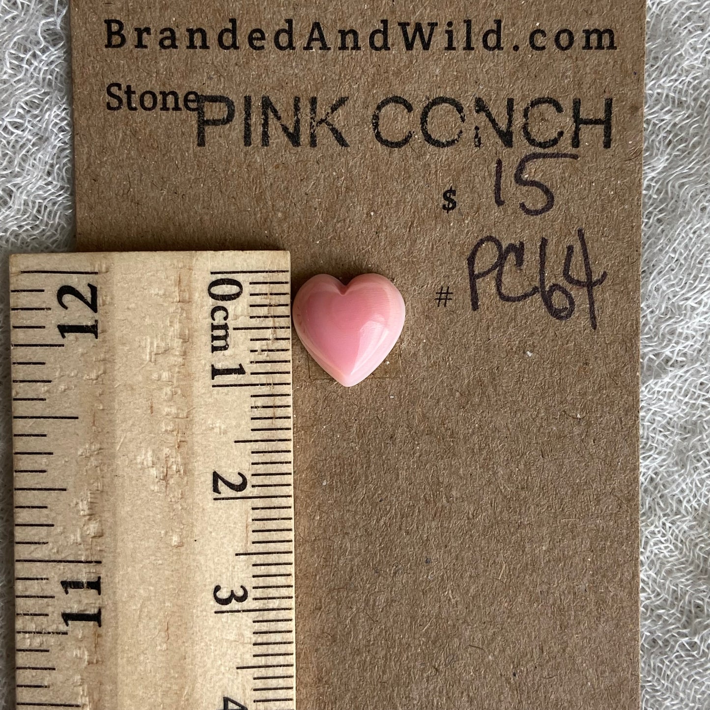 Pink Conch Cabochon - PC64