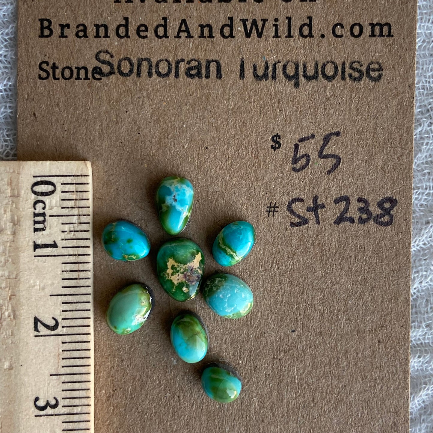 Sonoran Turquoise Cabochon - ST238