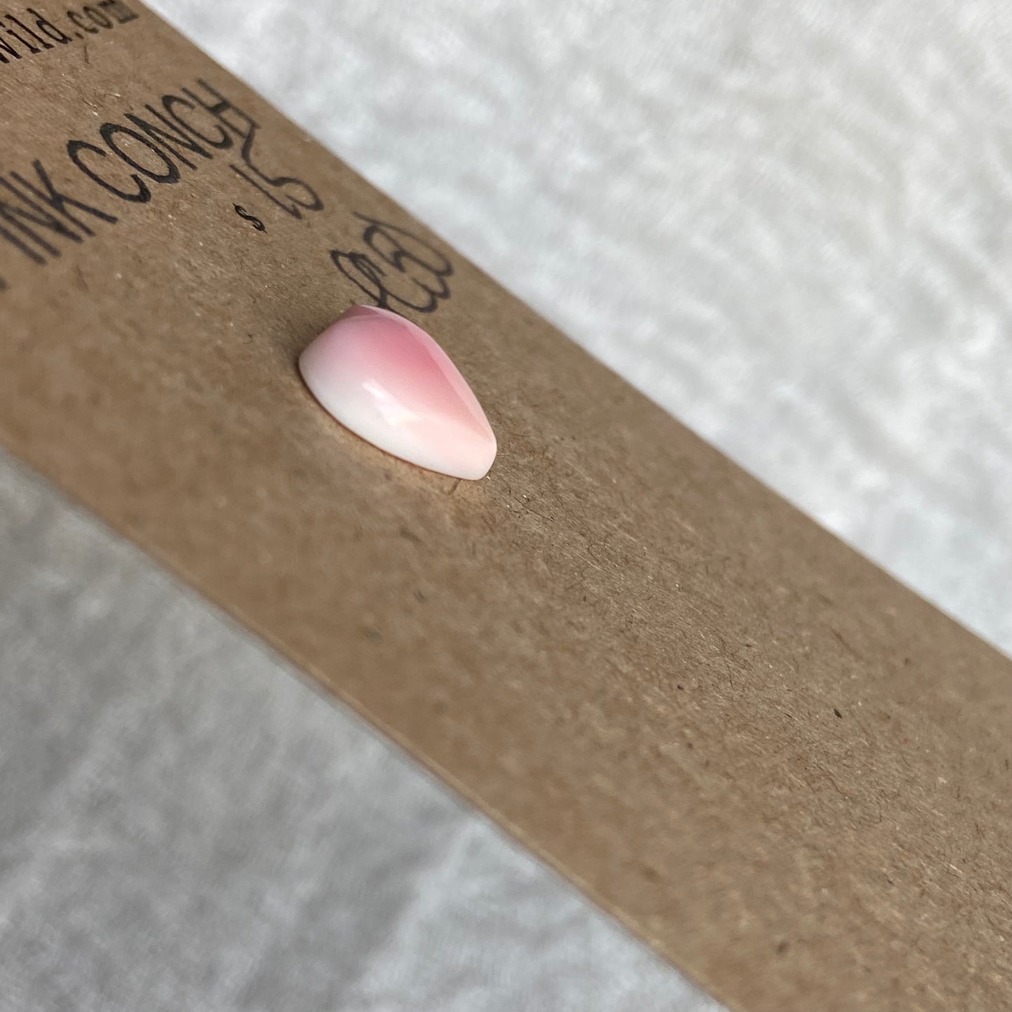 Pink Conch Cabochon - PC50