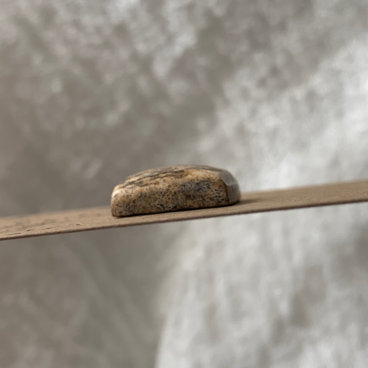 Picture Jasper cabochon - PJ24