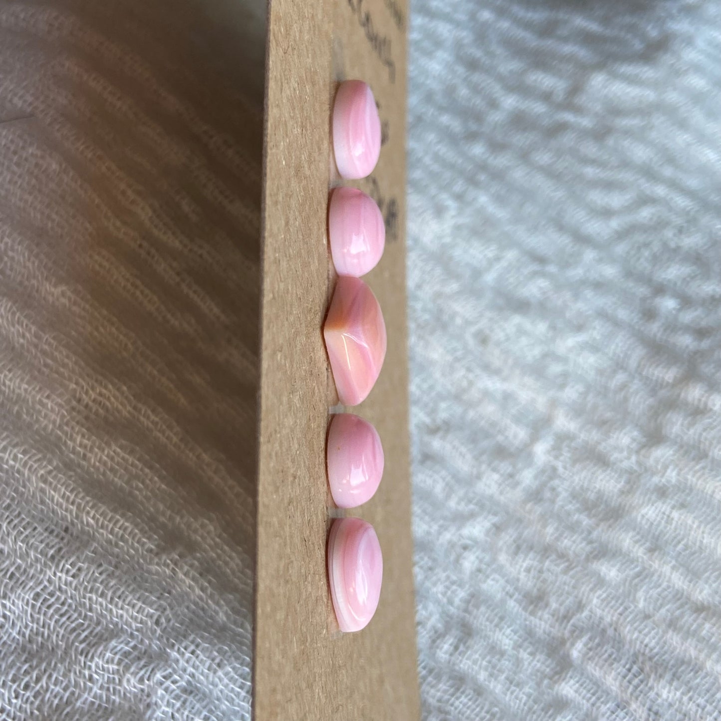 Pink Conch Cabochon - PC48