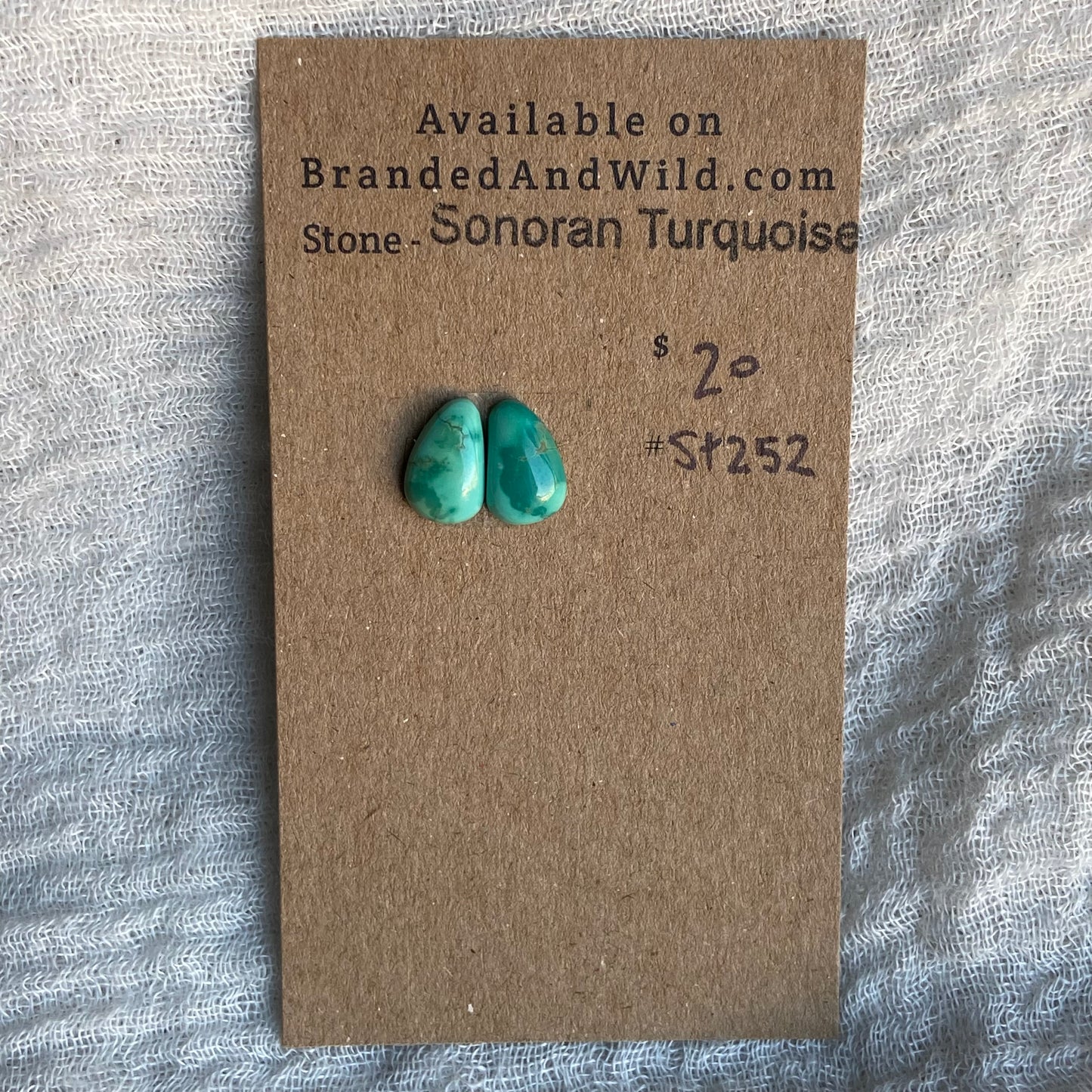 Sonoran Turquoise Cabochon - ST252