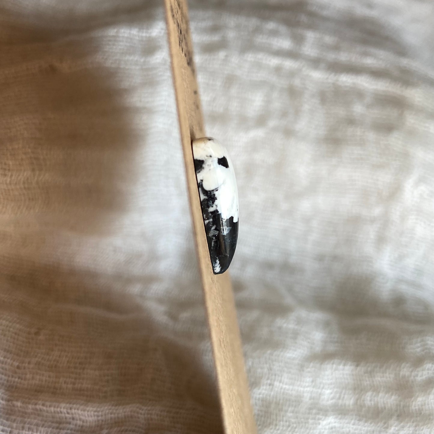 White Buffalo Cabochon - WB56