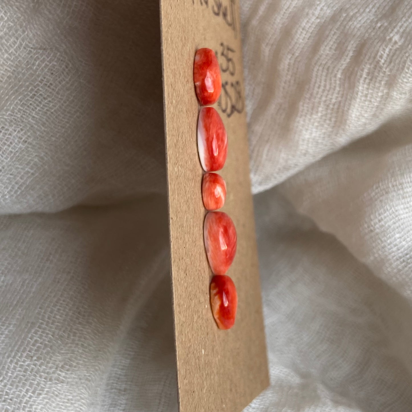 Oystershell Cabochon - 0S28