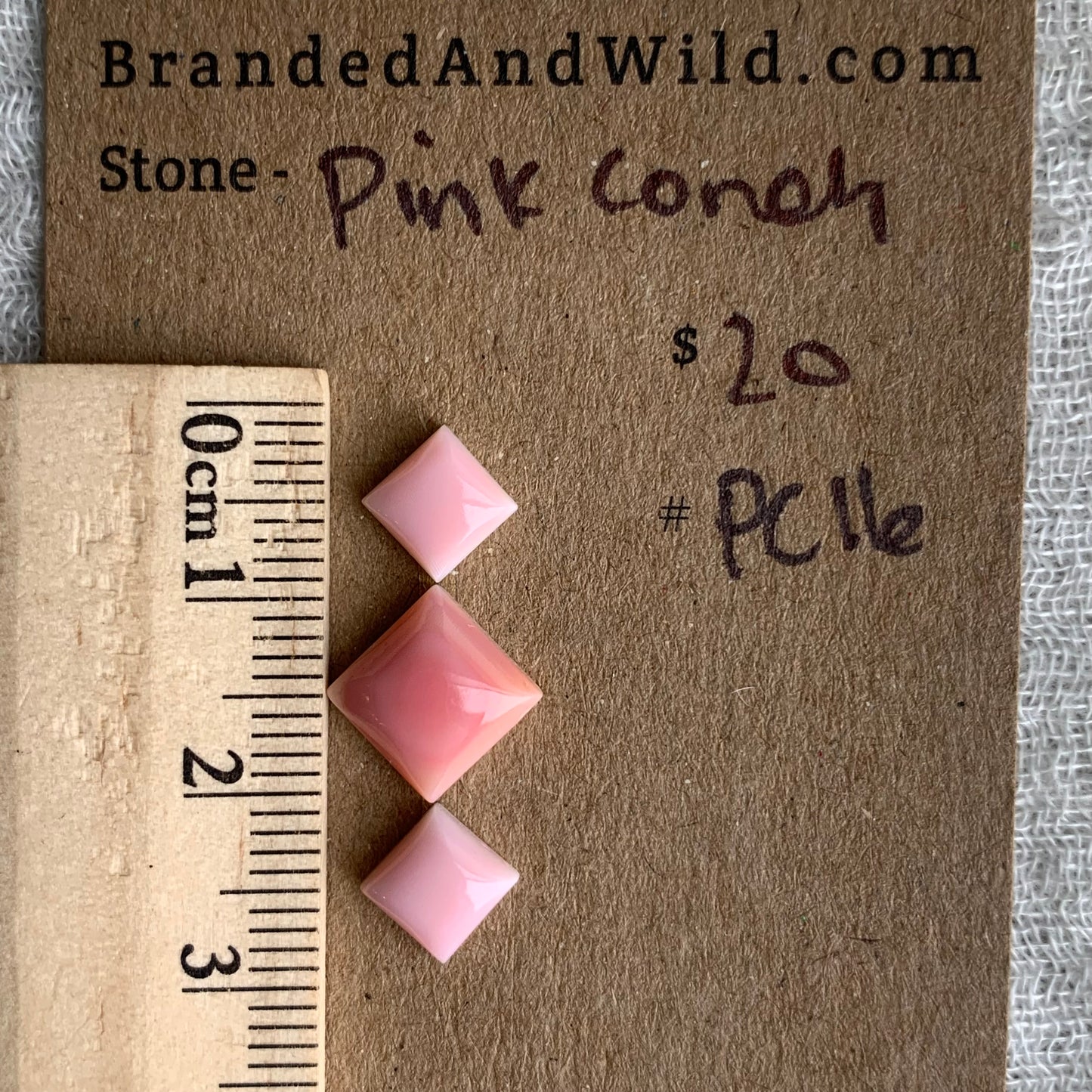 Pink Conch Cabochon - PC16
