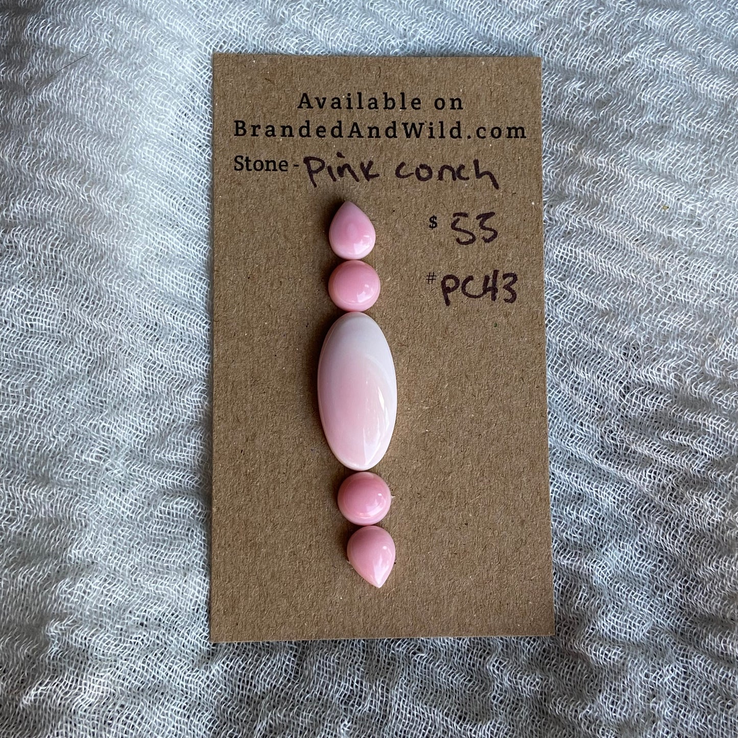 Pink Conch Cabochon - PC43