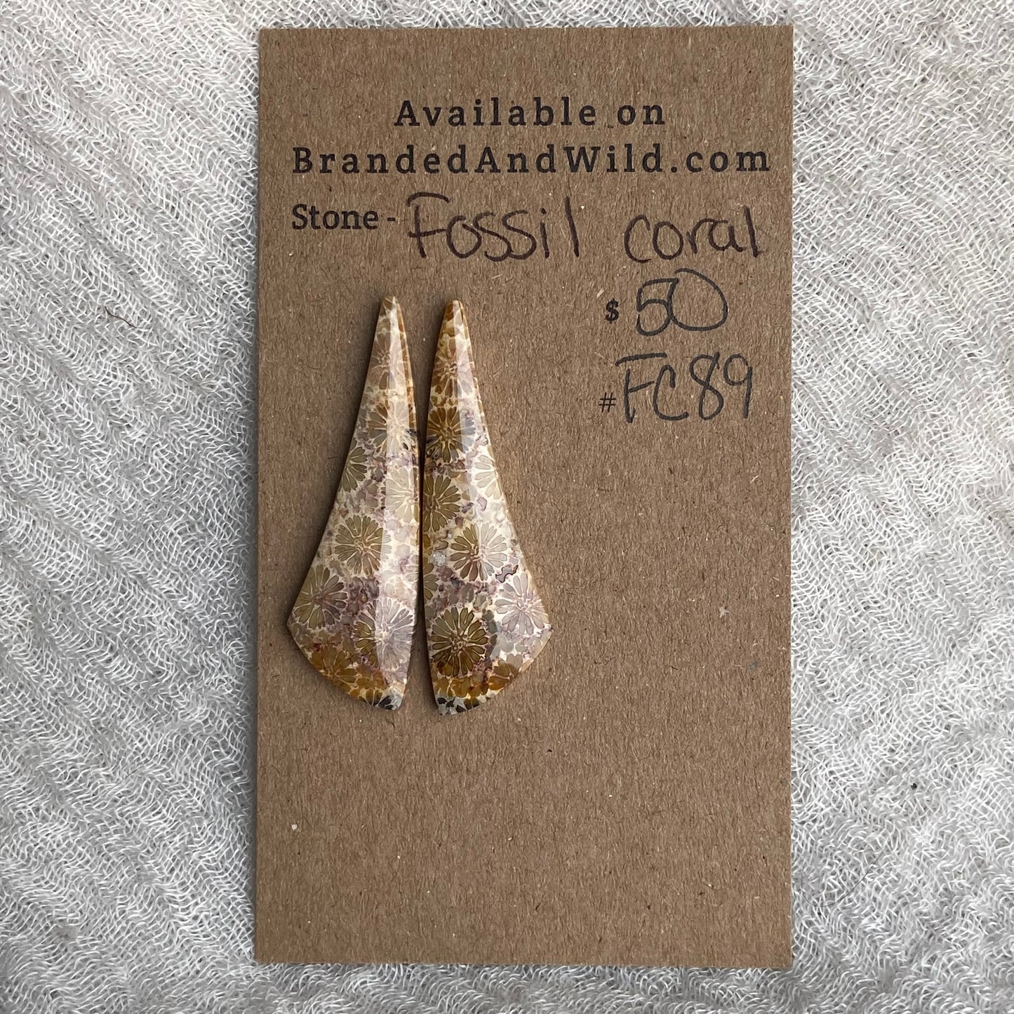 Fossil Coral Cabochon - FC89