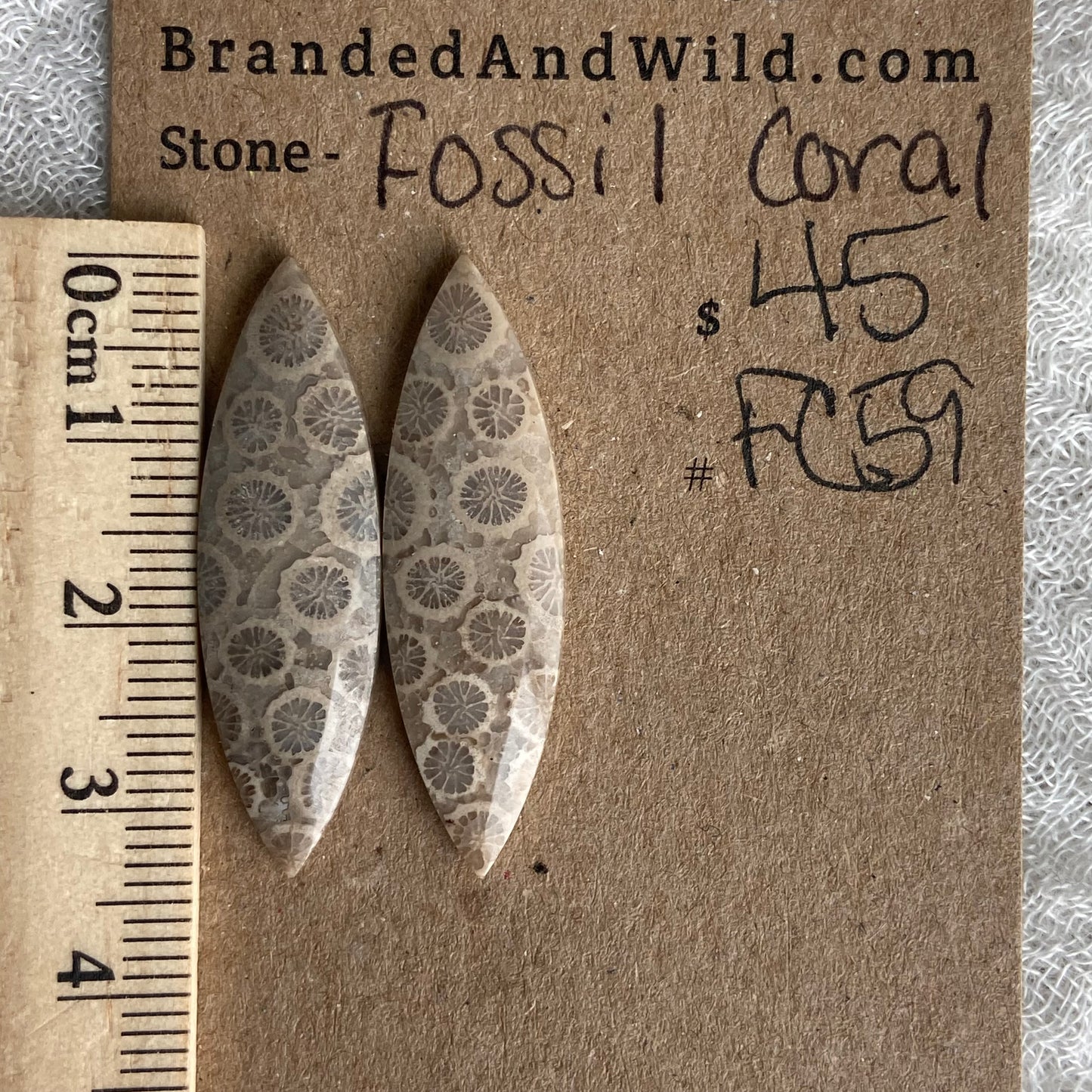 Fossil Coral Cabochon - FC59