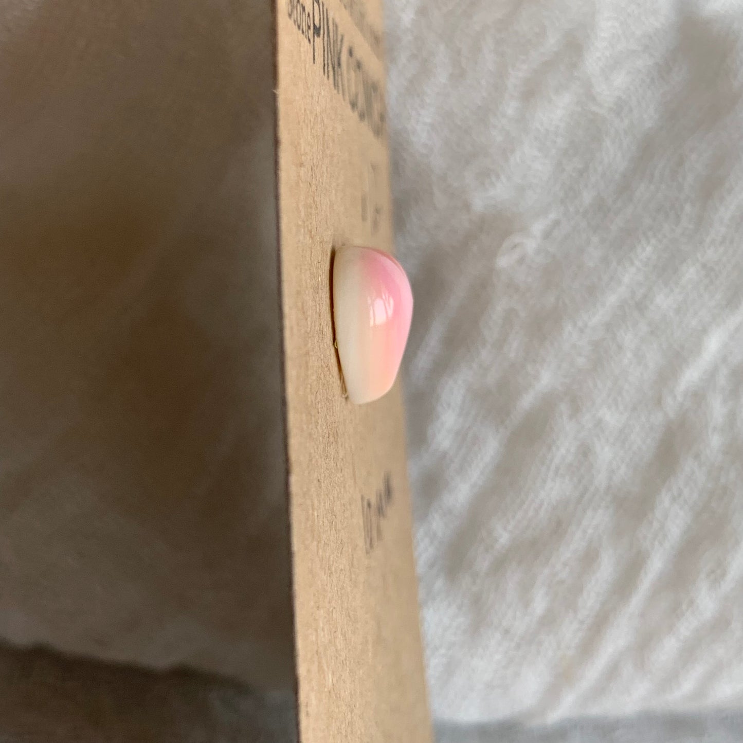 Pink Conch Cabochon - PC105