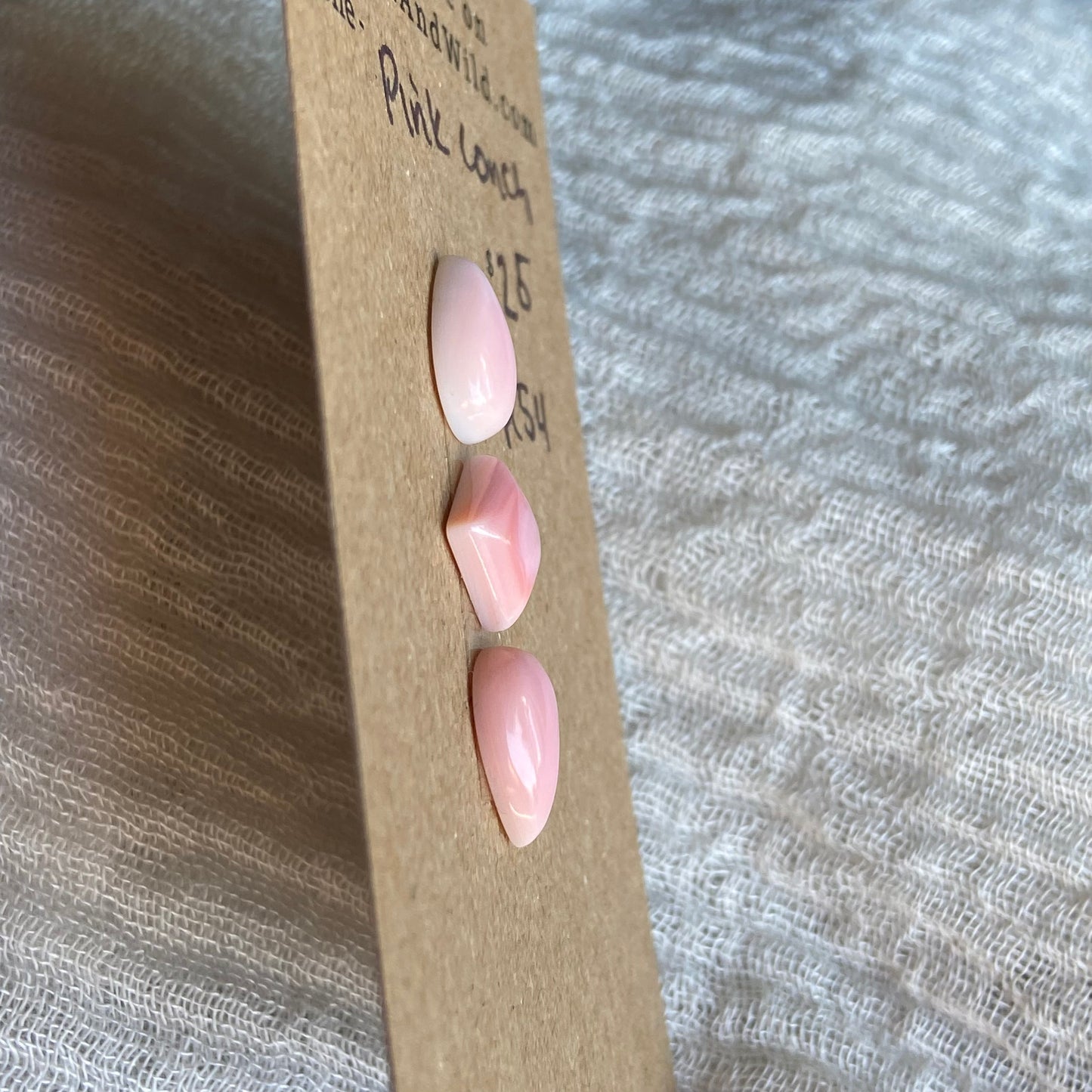 Pink Conch Cabochon - PC54