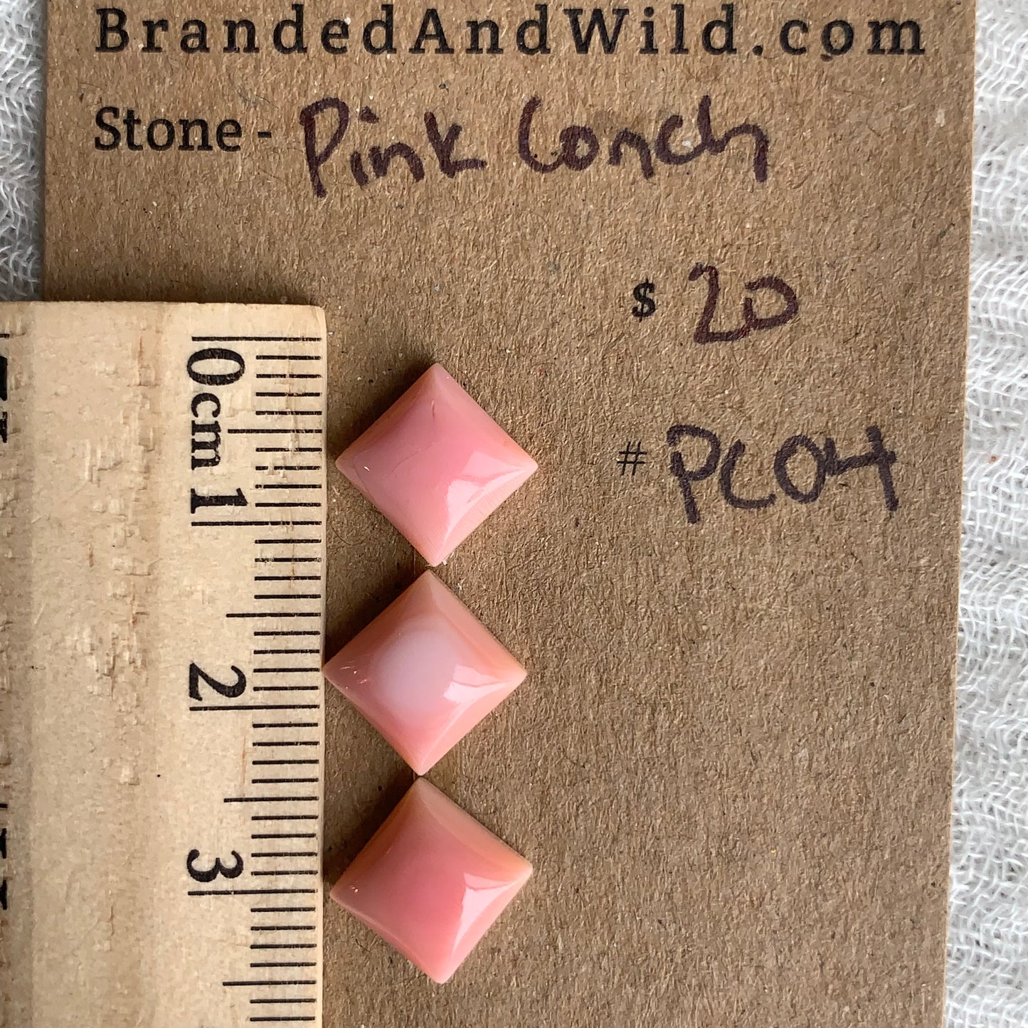 Pink Conch Cabochon - PC04