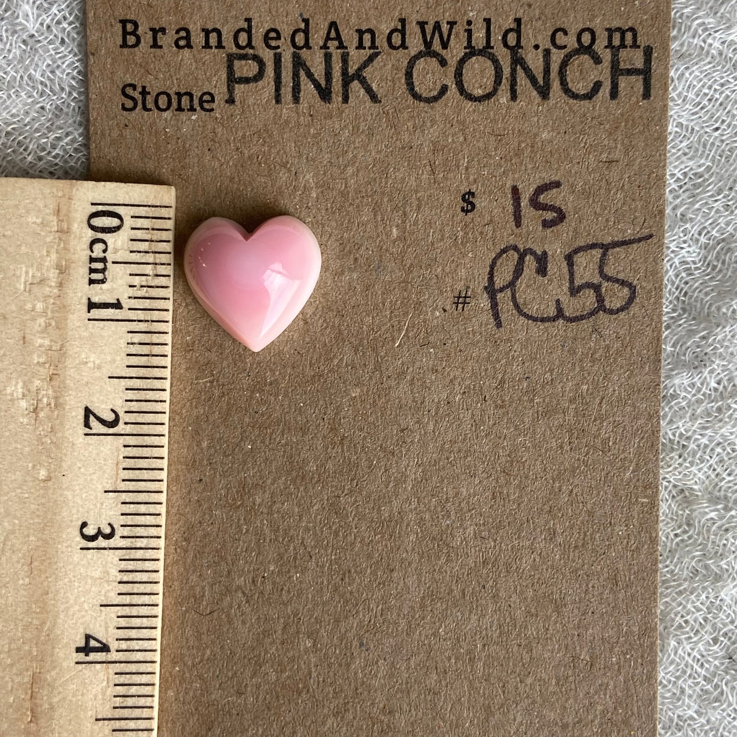 Pink Conch Cabochon - PC55