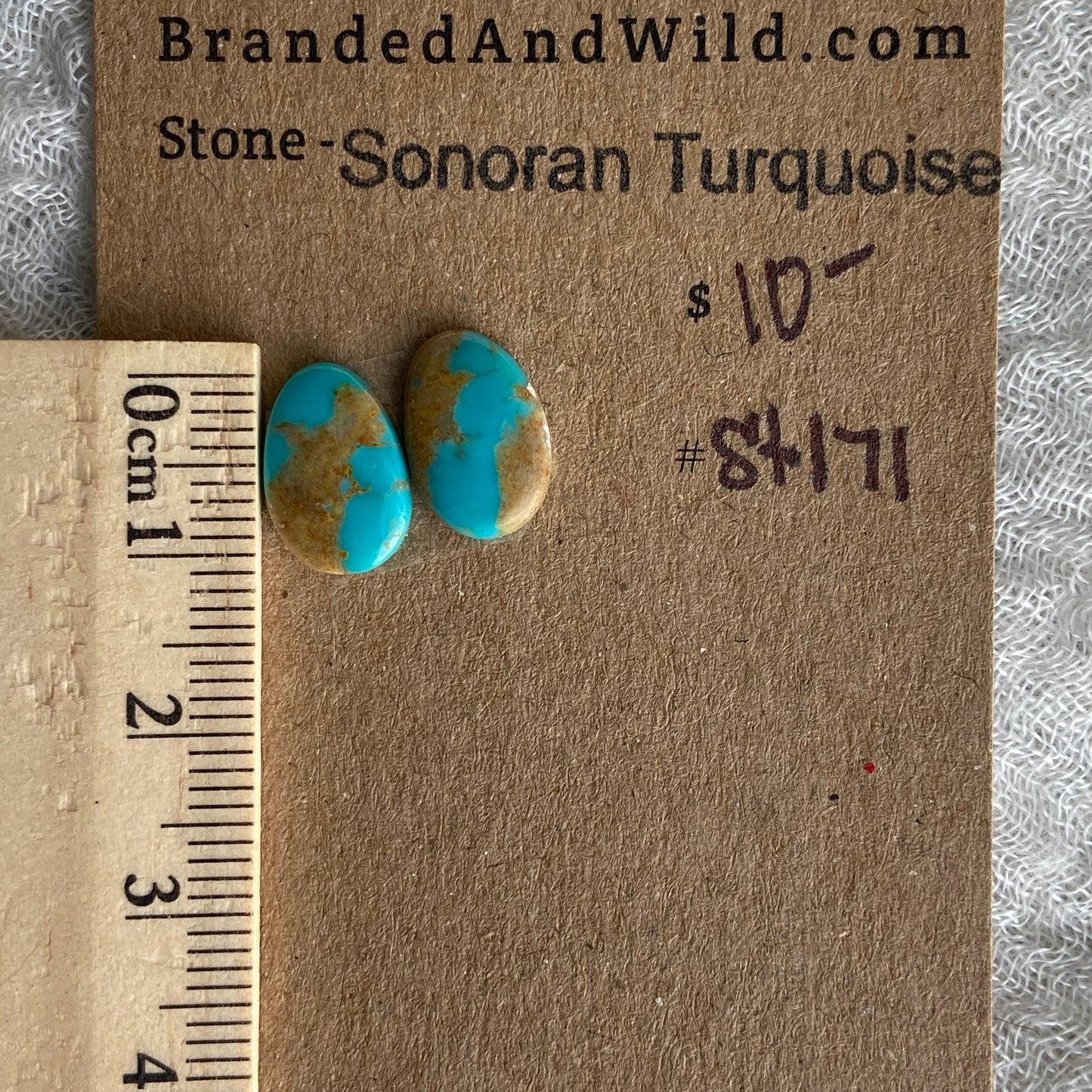 Sonoran Turquoise Cabochon - ST171