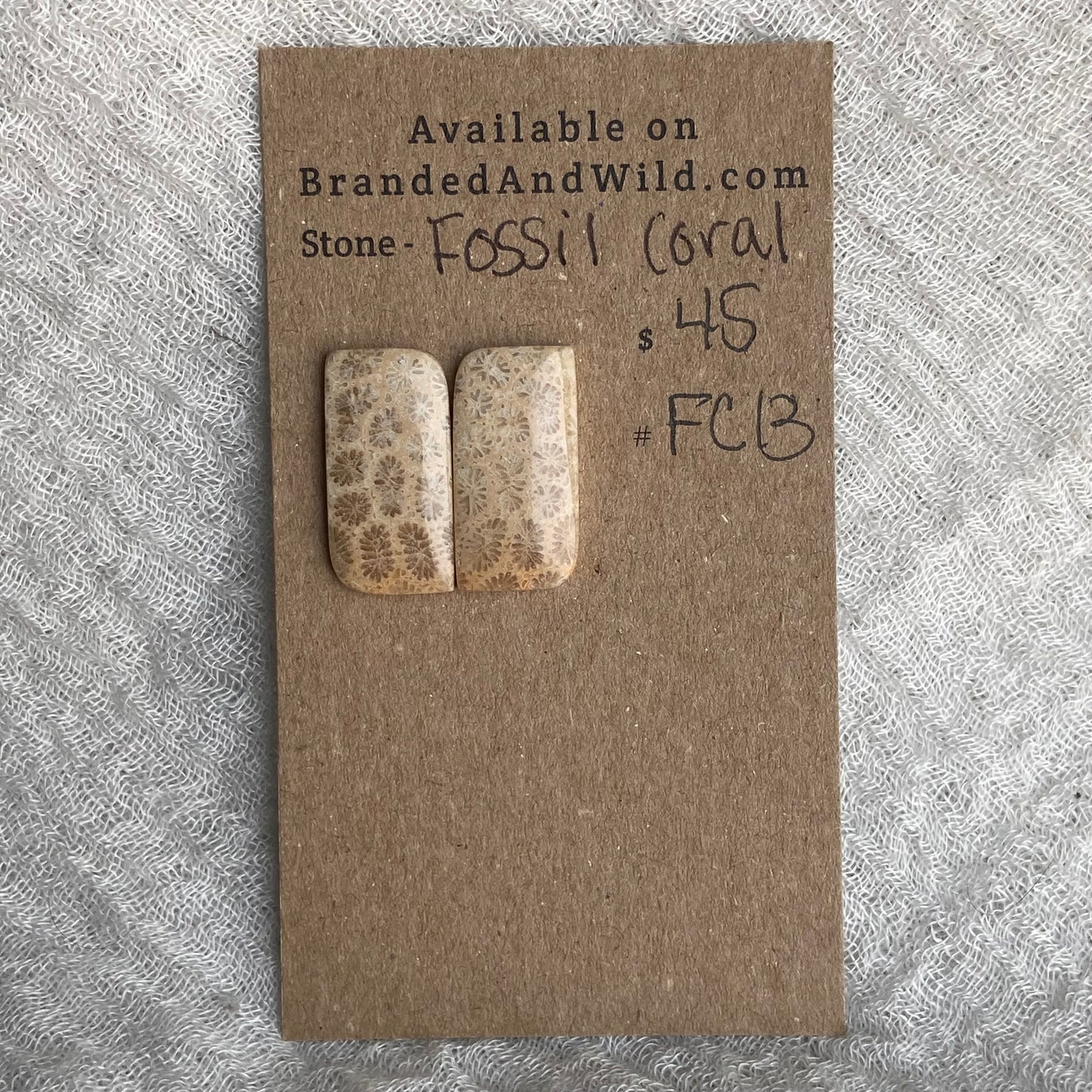 Fossil Coral Cabochon - FC13