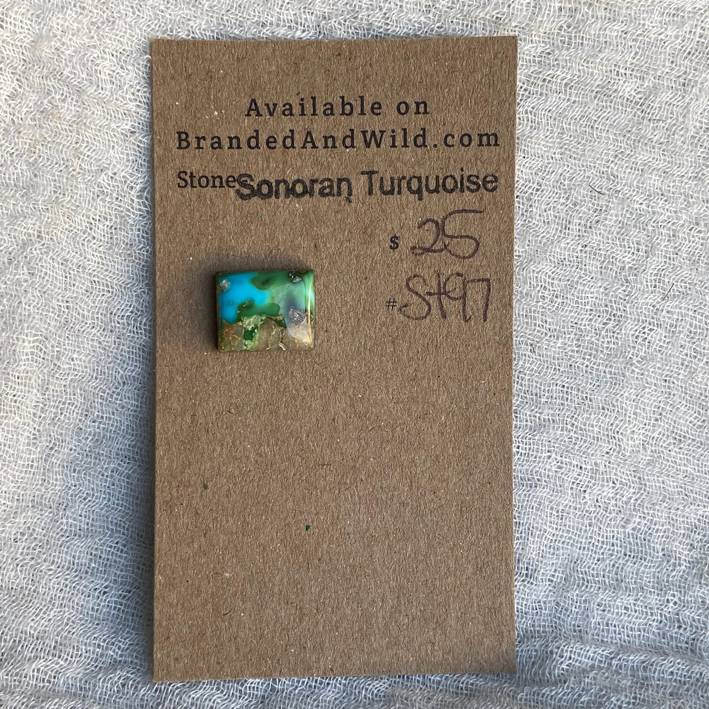 Sonoran Turquoise Cabochon - ST97