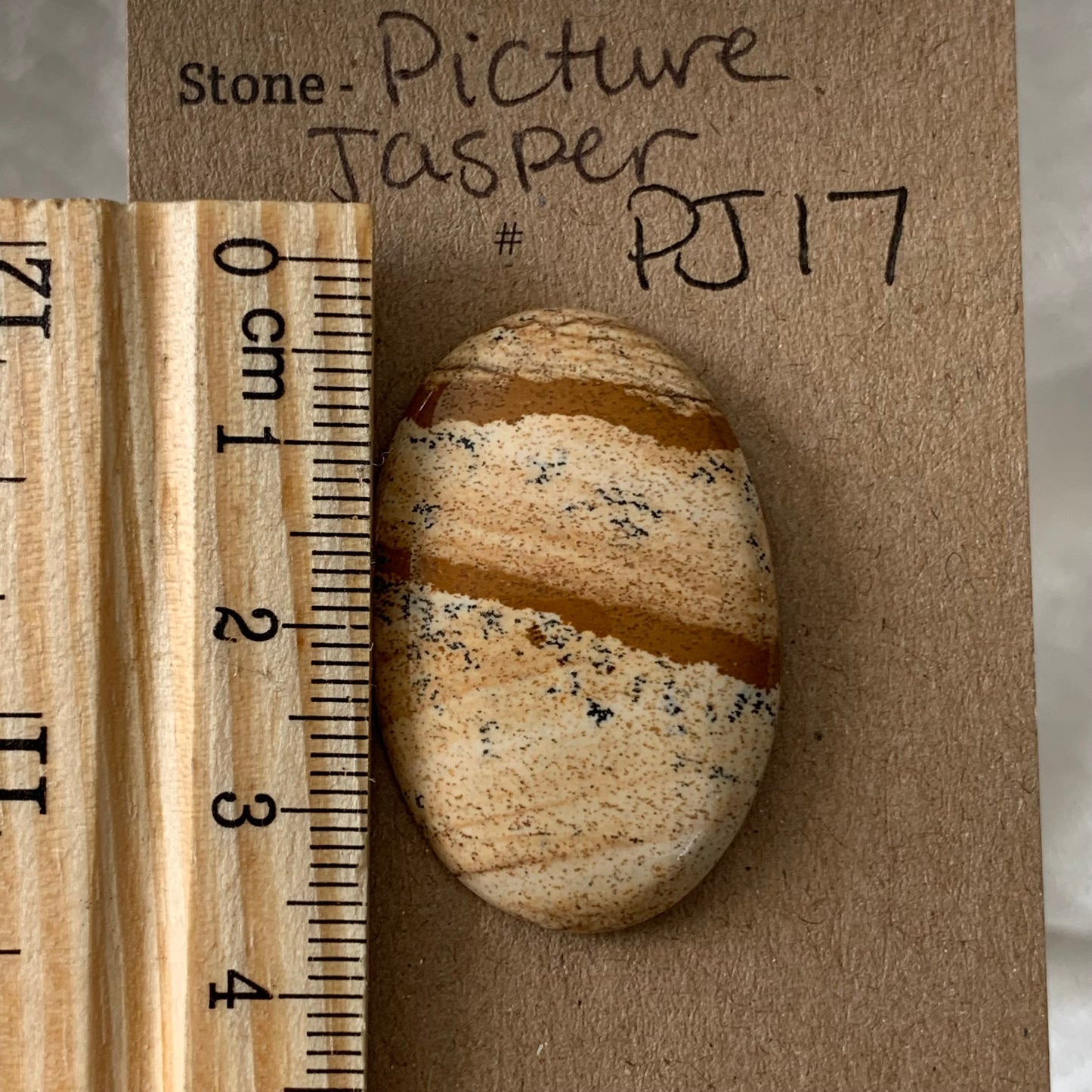 Picture Jasper cabochon - PJ17